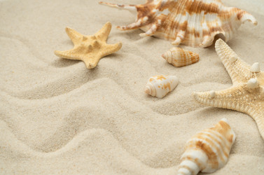 Similar image 21822013