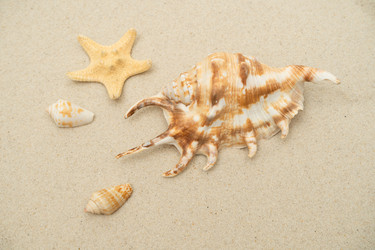 Similar image 21822484