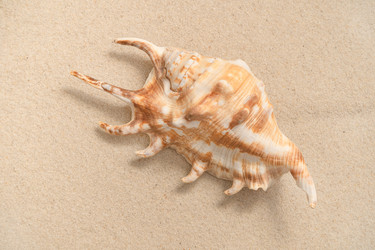 Similar image 21822014