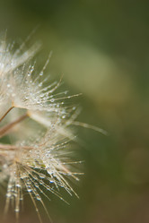 Similar image 21823117