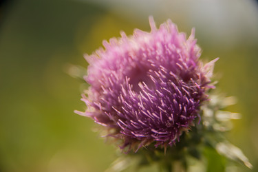 Similar image 21823119