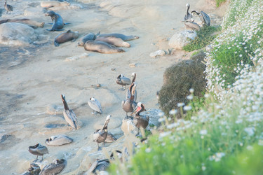 Similar image 21823182