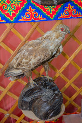 Similar image 21823194