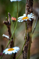 Similar image 21823201