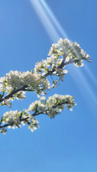 Similar image 21822675