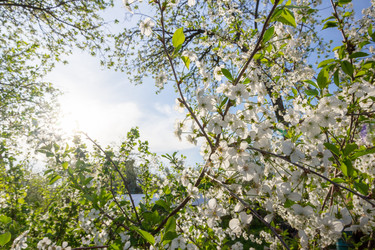 Similar image 21822422