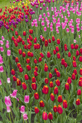 Similar image 21822142