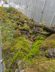 Similar image 21822144