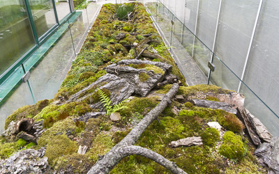 Similar image 21822145