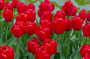 Similar image 21822146