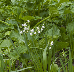 Similar image 21822147