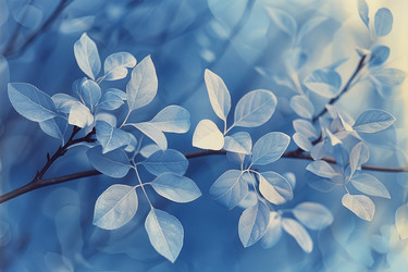 Similar image 21822490