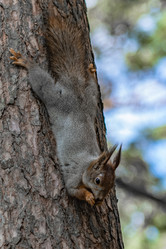 Similar image 21822344