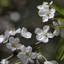 Similar image 21822495