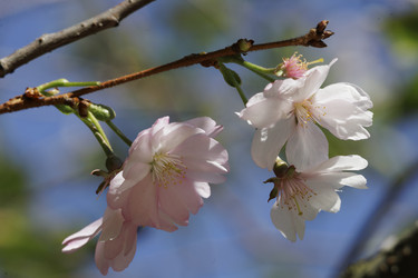 Similar image 21822496