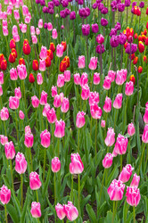 Similar image 21822437