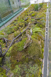 Similar image 21822440