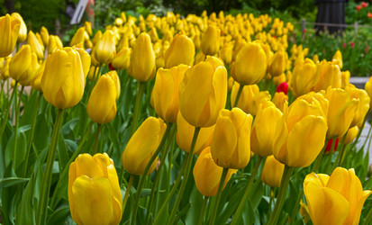 Similar image 21822441