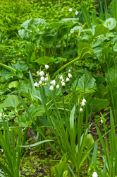 Similar image 21822442