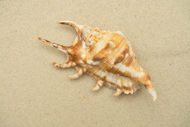 Similar image 21823202