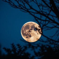 Similar image 21823033