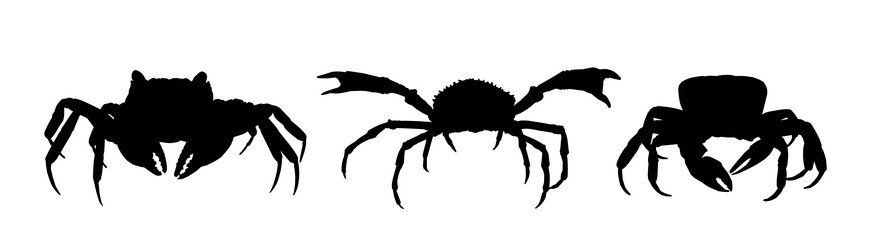 Similar image 21822682