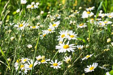 Similar image 21823836