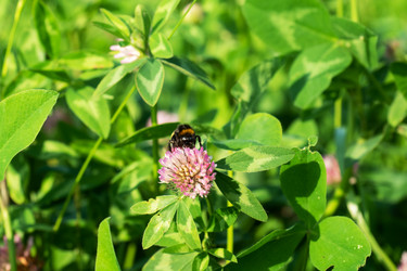 Similar image 21823838