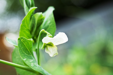 Similar image 21823940