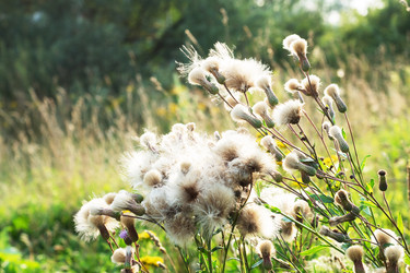 Similar image 21823941