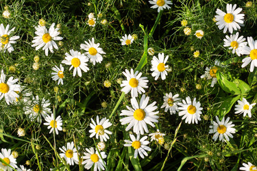 Similar image 21823944