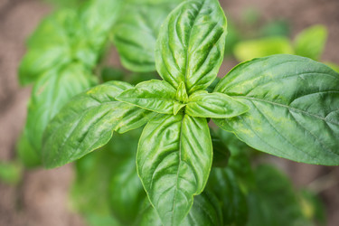 Similar image 21823948