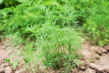 Similar image 21823949