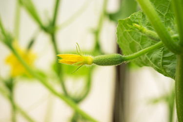 Similar image 21823951