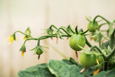 Similar image 21823954