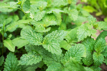 Similar image 21823957