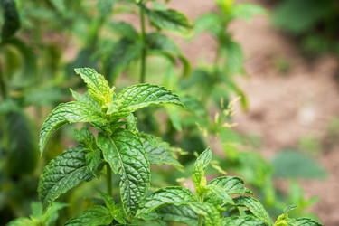 Similar image 21823959