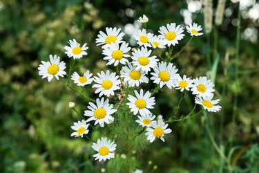 Similar image 21823964