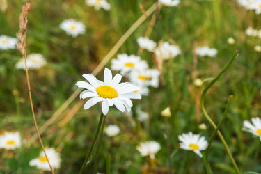 Similar image 21823967