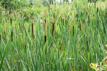 Similar image 21823972