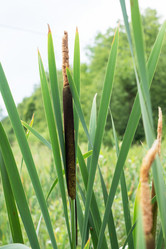 Similar image 21823973