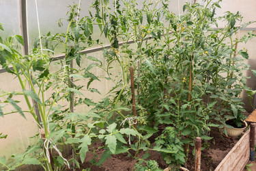 Similar image 21823989