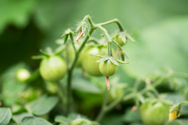 Similar image 21823991