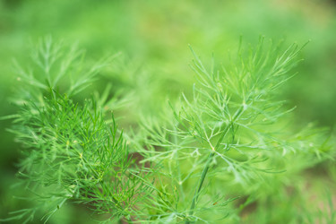 Similar image 21823993