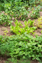 Similar image 21823999