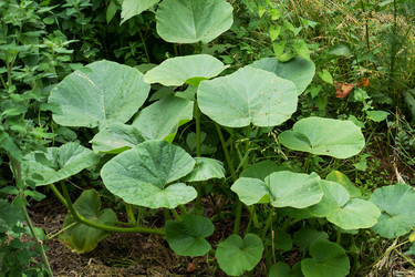 Similar image 21824001