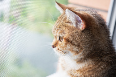 Similar image 21823752