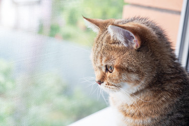 Similar image 21823753