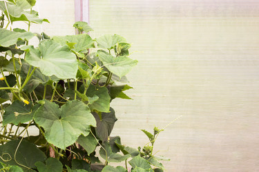 Similar image 21823763