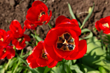 Similar image 21822425